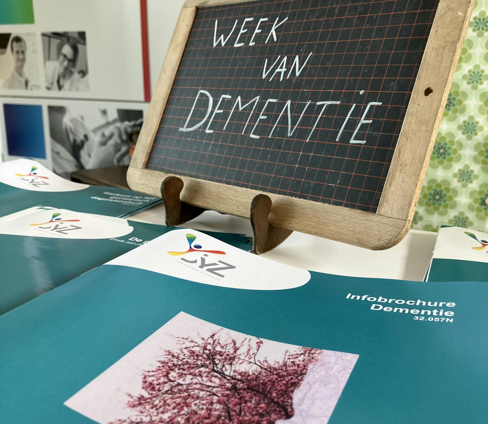 Afbeelding 20240916 122623 fa72dabd