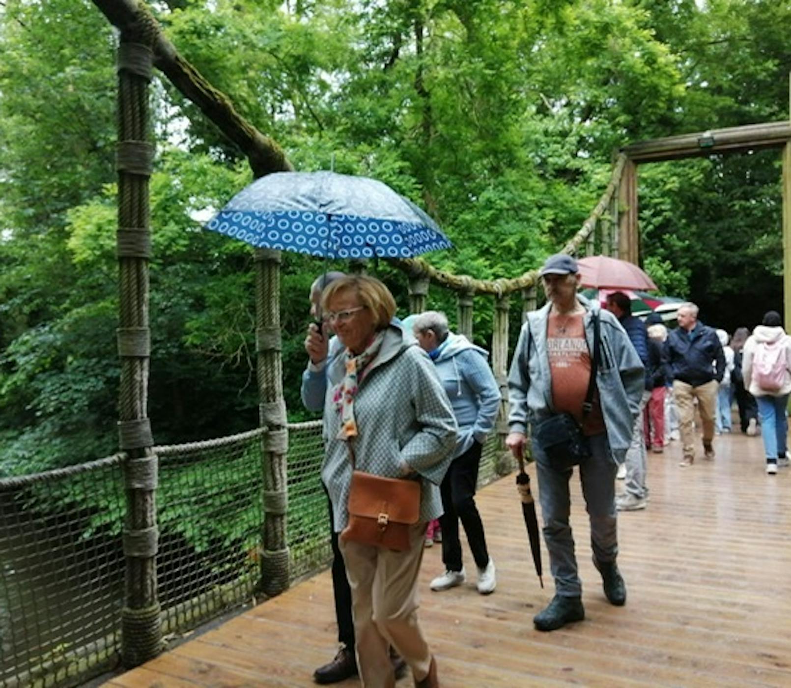 PHOTO 2024 05 27 17 55 16